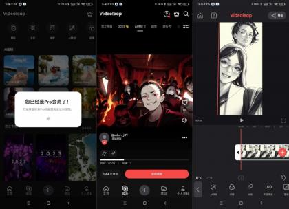 提升视频剪辑效果,Videoleap 13.6.0带来好莱坞级特效体验!-资源项目网