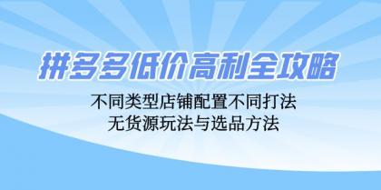拼多多低价高利全攻略：不同类型店铺配置不同打法，无货源玩法与选品方法-资源项目网