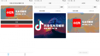 抖音小红书一键解析，无水印快速获取内容！-资源项目网