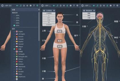 女性全身系统3D-1.0:深入了解人体系统-资源项目网