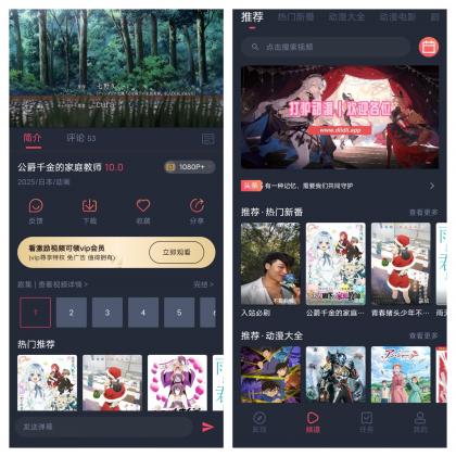 打驴动漫最新去广告纯净版本-资源项目网