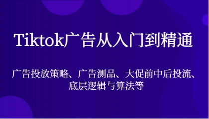 Tiktok广告从入门到精通，广告投放策略、广告测品、大促前中后投流、底层逻辑与算法等-资源项目网