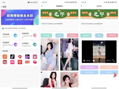 无印去水印-支持一键批量解析-资源项目网