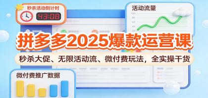 拼多多2025爆款运营课:秒杀大促、无限活动流、微付费玩法,全实操干货-第18张图片 拼多多2025爆款运营课:秒杀大促、无限活动流、微付费玩法,全实操干货-第18张图片