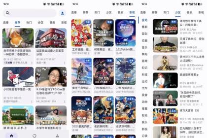 PiliNara最佳哔哩哔哩观看体验，第三端看番享受到极致-资源项目网