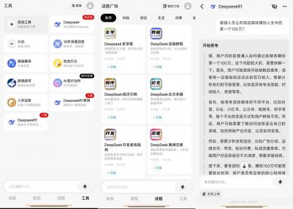 问小白-DeepSeek满血版无限制-第13张图片 问小白-DeepSeek满血版无限制-第13张图片