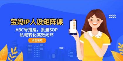 宝妈IP人设矩阵课：ABC号搭建，批量SOP，私域转化高效闭环-资源项目网