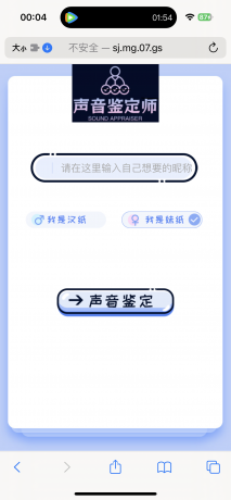 声音鉴定引流神器源码，完整可运转-颜夕资源网-第18张图片