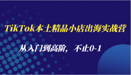 TikTok本土精品小店出海实战营,从入门到高阶,不止0-1 TikTok本土精品小店出海实战营,从入门到高阶,不止0-1