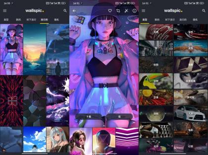 Wallspic高级版-壁纸应用中的王者-资源项目网