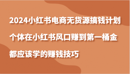 小红书电商无货源搞钱计划,个体在小红书风口赚到第一桶金应该学的赚钱技巧 小红书电商无货源搞钱计划,个体在小红书风口赚到第一桶金应该学的赚钱技巧
