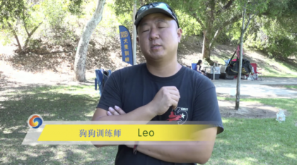 掌握训狗技巧,提升宠物训练效果!-资源项目网