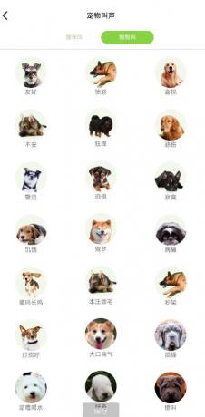 能和猫咪狗狗交流的宠物翻译器-资源项目网