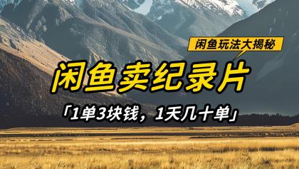 闲鱼卖纪录片,简单又赚钱的小项目,1单3块钱 1天几十单-第13张图片 闲鱼卖纪录片,简单又赚钱的小项目,1单3块钱 1天几十单-第13张图片