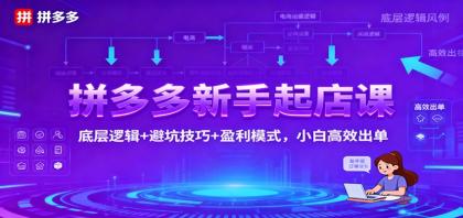 拼多多新手开店指南:掌握底层逻辑,避开常见陷阱,实现盈利增长-资源项目网