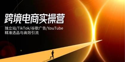 跨境电商实操营:独立站/TikTok/谷歌广告/YouTube,精准选品与高效引流-第13张图片 跨境电商实操营:独立站/TikTok/谷歌广告/YouTube,精准选品与高效引流-第13张图片