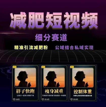 减肥短视频运营实战课：含素材制作、剪映教学，讲精准引流、变现设计与内容模板技巧-第18张图片