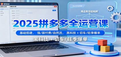2025拼多多运营全攻略:基础搭建,付费、自然流量策略,黑科技应用及旺季爆单技巧-资源项目网