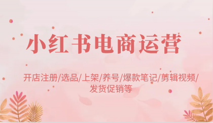 小红书电商经营：开实体店申请注册选款发布起号爆品手记视频编辑安排发货促销等-资源项目网
