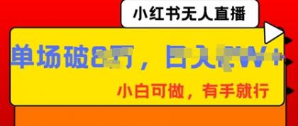 小红书无人直播,纯小白可做,有手就行,单场直播销售额破8w-第12张图片 小红书无人直播,纯小白可做,有手就行,单场直播销售额破8w-第12张图片