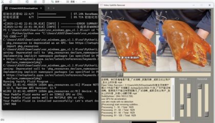 视频字幕去除器 v1.1.0 - 快速移除硬字幕,提升观看体验!-资源项目网