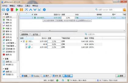 qBittorrent(强大的BT下载工具)v5.1.0.10中文绿色增强版-第13张图片 qBittorrent(强大的BT下载工具)v5.1.0.10中文绿色增强版-第13张图片