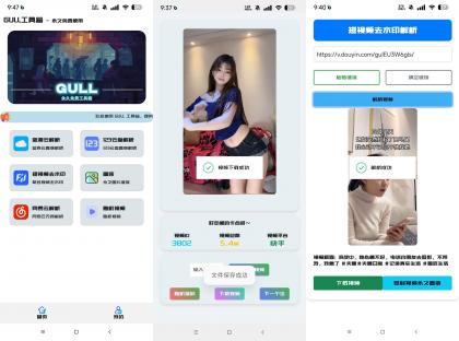 GULL工具箱-视频去水印网盘解析下载等-资源项目网