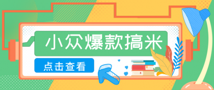普通人也能轻松上手的小众爆款项目，简单操作月入过万！-资源项目网