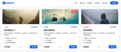 100套精选网站模板,助您打造专业在线形象-资源项目网