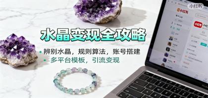 水晶小红书起号课:掌握辨别技巧,精通规则算法,高效账号搭建,多平台模板,轻松引流变现-资源项目网