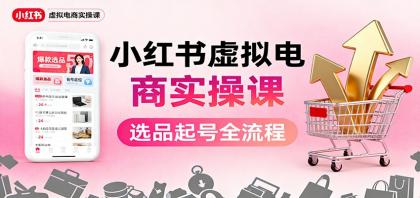 小红书虚拟电商实操课:选品起号+AI内容创作+店铺运营+引流私域+自动化发笔记-资源项目网