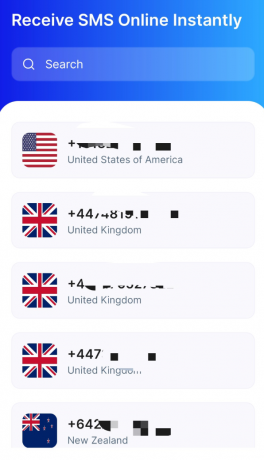 临时虚拟手机号接码用 国内不可用 临时虚拟手机号接码用 国内不可用
