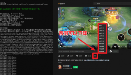 视频号下载器！支持直播回放下载，使用超简单，一键下载为MP4格式-第19张图片