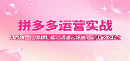 拼多多运营实战,付费推广、爆款打造、流量起爆等,新手轻松起店-第18张图片 拼多多运营实战,付费推广、爆款打造、流量起爆等,新手轻松起店-第18张图片