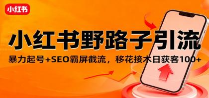小红书野路子引流技巧,暴力起号+SEO霸屏截流,日增客户100+-资源项目网