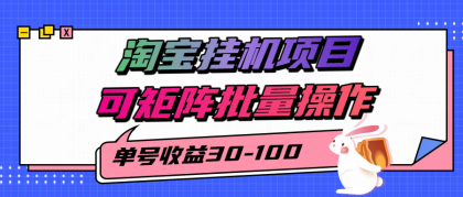 揭秘2025年淘宝挂机新项目，单号30-100，矩阵批量操作（附工具）-资源项目网