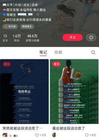 小红书治愈文案图文笔记，零门槛，一分钟制作轻松制作爆款作品月入万元-第13张图片