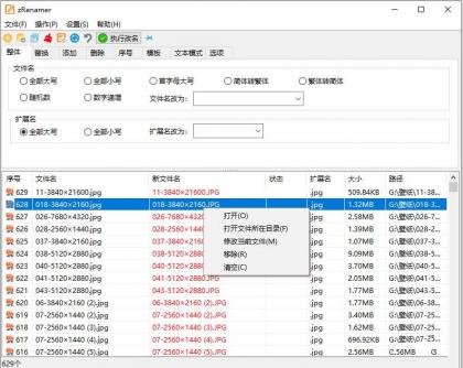 zRenamer批量改名工具中文版 v2.0.0绿色版-第19张图片 zRenamer批量改名工具中文版 v2.0.0绿色版-第19张图片