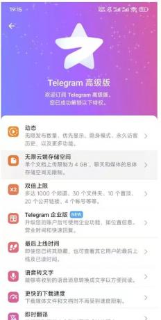 Telegram + Twitter X版 + 无限邮箱合集，支持验证码接收-资源项目网