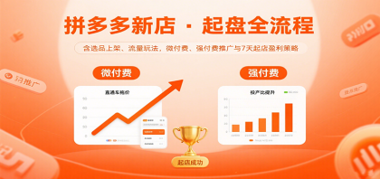 拼多多新店起盘指南:选品上架、流量策略,微付费与强付费推广,7天盈利速成法-资源项目网