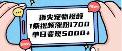 指尖宠物视频,1条视频涨粉1700,单日变现5000+-颜夕资源网 指尖宠物视频,1条视频涨粉1700,单日变现5000+-颜夕资源网